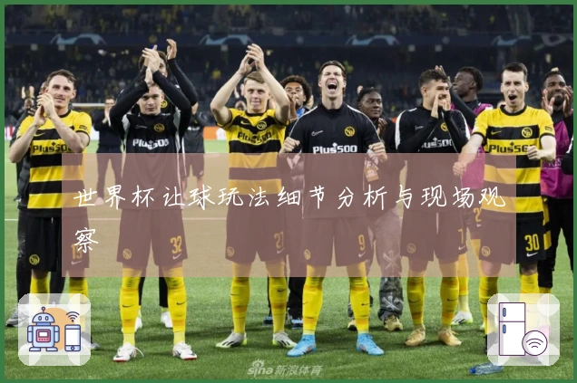 世界杯让球玩法细节分析与现场观察